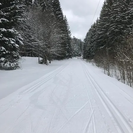 šumava * Nove Hute