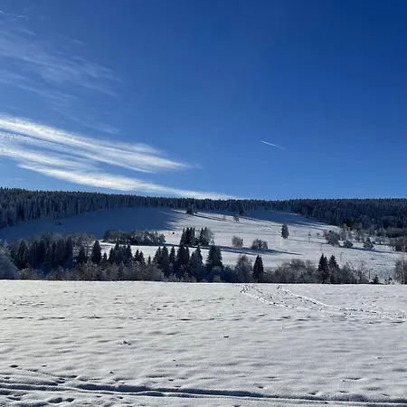 šumava *